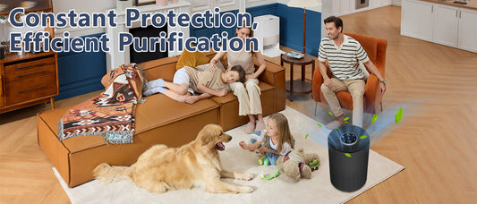 Air Purifier Picks,  Beyond Fresh Air＆Brings Peace of Mind