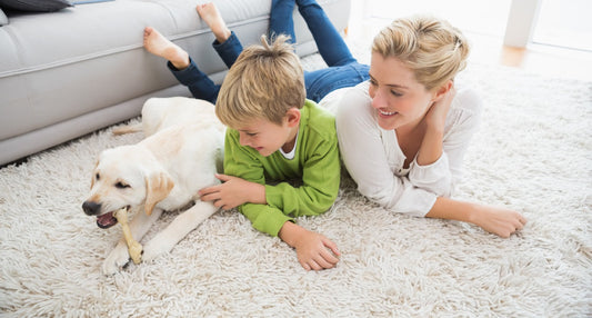 The Perfect Dorm-Sized Air Purifier